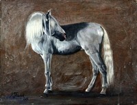 S. M. fawad,  13 x 16 Inch, Oil on Canvas, Horse Painting, AC-SMF-043